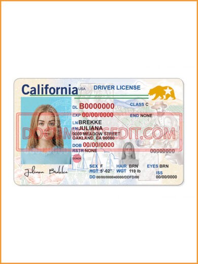 drivers license template