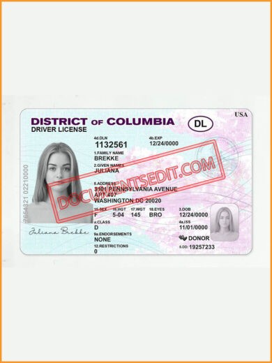 District of Columbia Driver License 