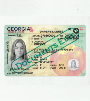 Georgia Driver's License