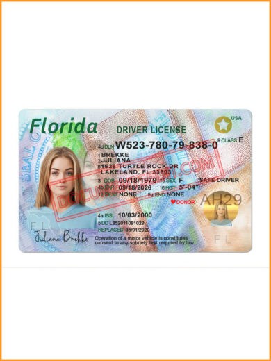 Florida Driving License Template front