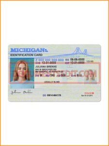 Smart Michigan Identification Card