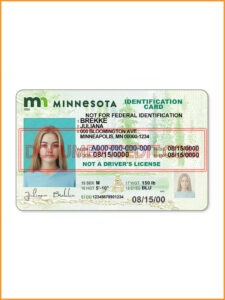 Minnesota Identification Card Front