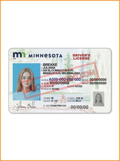 Best Minnesota State Driver's License 2022