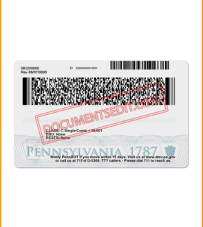 Pennsylvania Driver License Back