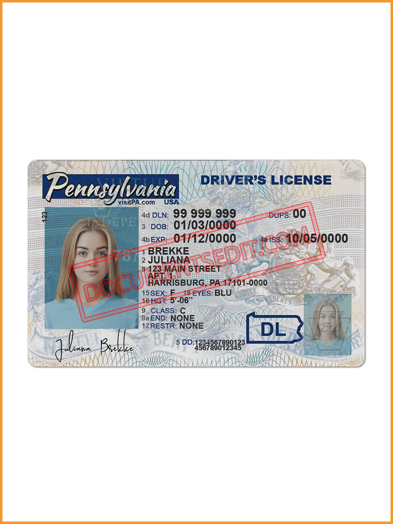 duplicate temporary pa license