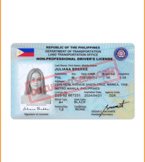 Best Philippines Driver License