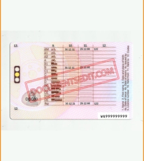 UK Driver License Back