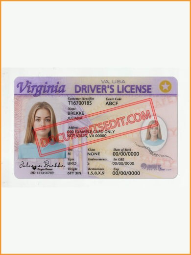 Virginia Drivers License