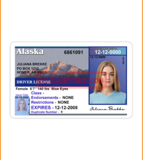 Alaska Driving License