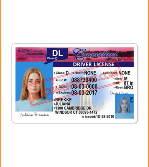 Connecticut drivers license