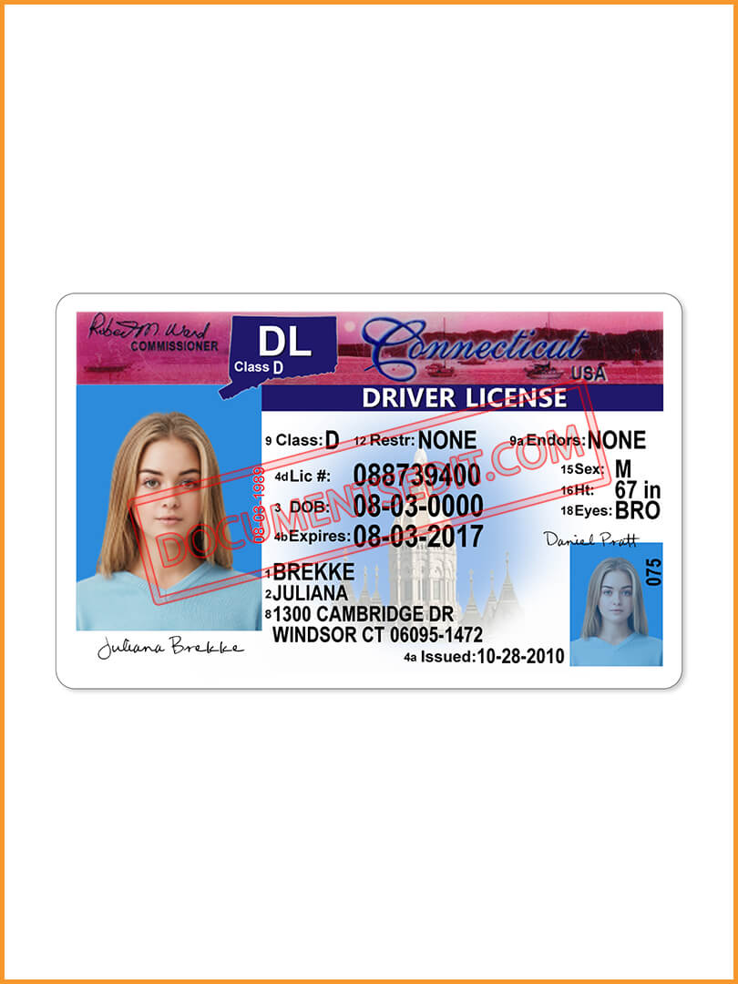 Connecticut drivers license Template Documents Edit