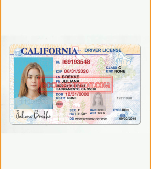 California Driving License