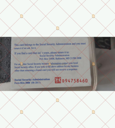 Social Security Card Template 44 b