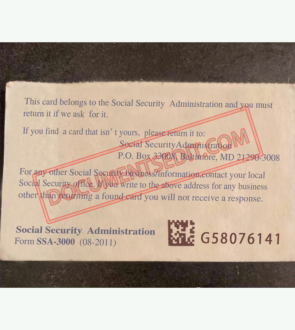 Social Security Card Template 50 b