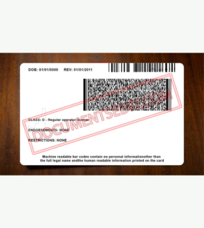 Idaho Driver License PSD Template New b