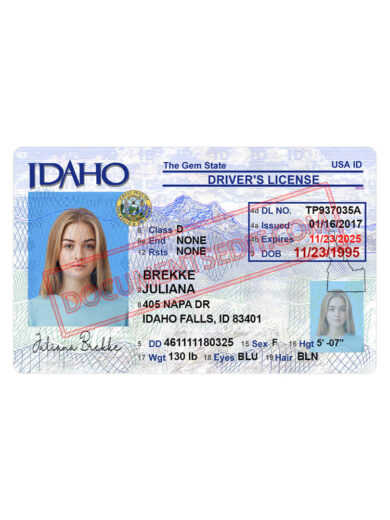 Idaho Driver License