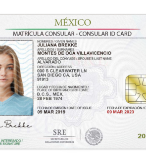 Mexico Consular ID Card