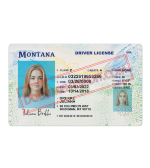 Montana Driving License