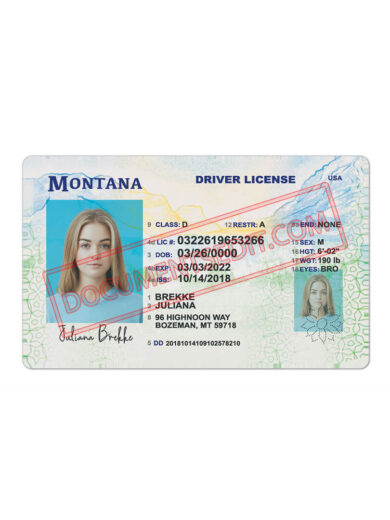 Montana Driving License