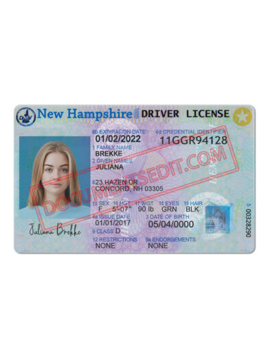 New Hampshire Driver License