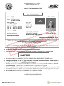 Ohio Interim DL Documentation