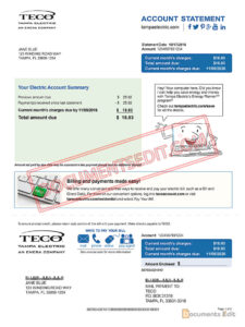 TECO Tampa Electric