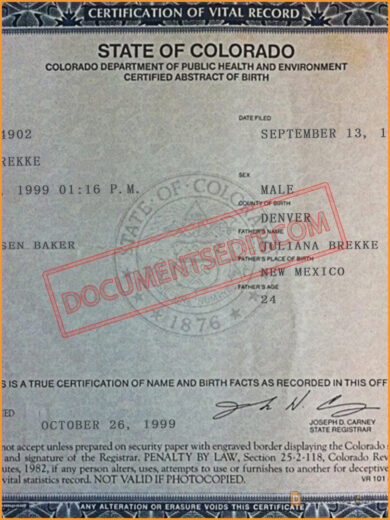 Birth Certificate Documents Edit   Colorado Birth Certificate Template 2 390x520 