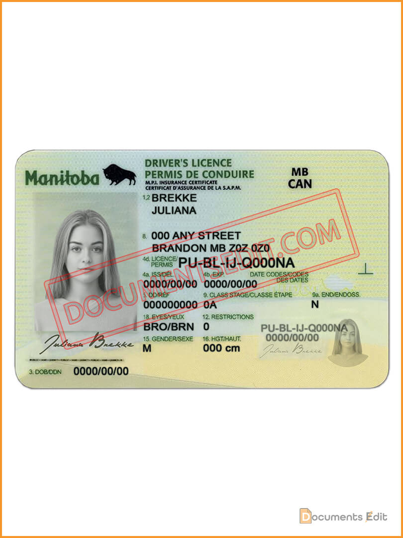Manitoba Driving License PSD Template Documents Edit