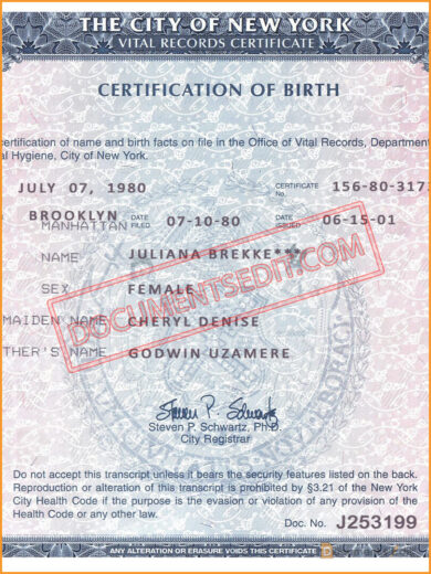 New York State NY Birth Certificate 2