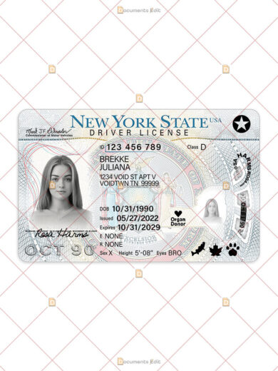 New York Driving License