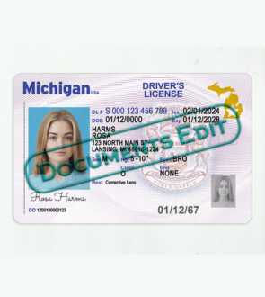 Michigan Driver License