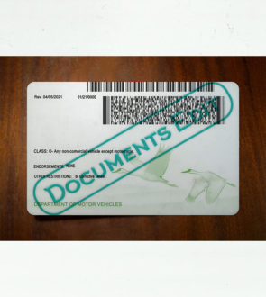 DocumentsEdit - Nebraska Driver License Template New (V2) 6