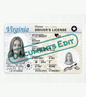 Virginia Drivers License