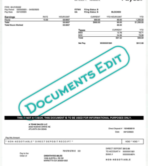 Paycor Paystub Statement