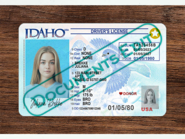 DocumentsEdit - Idaho Driver License PSD Template New (V3) 2