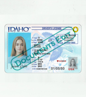 Idaho Driver License