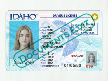 Idaho Driver License