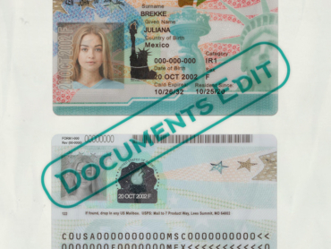 USA Permanent Resident Card